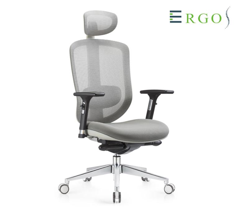 Ergonomski pisarniški stol Ergos Premium in stoli Ergos