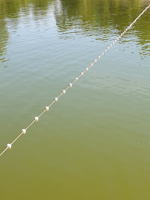 Plavajoča ograda- swimming pool float line