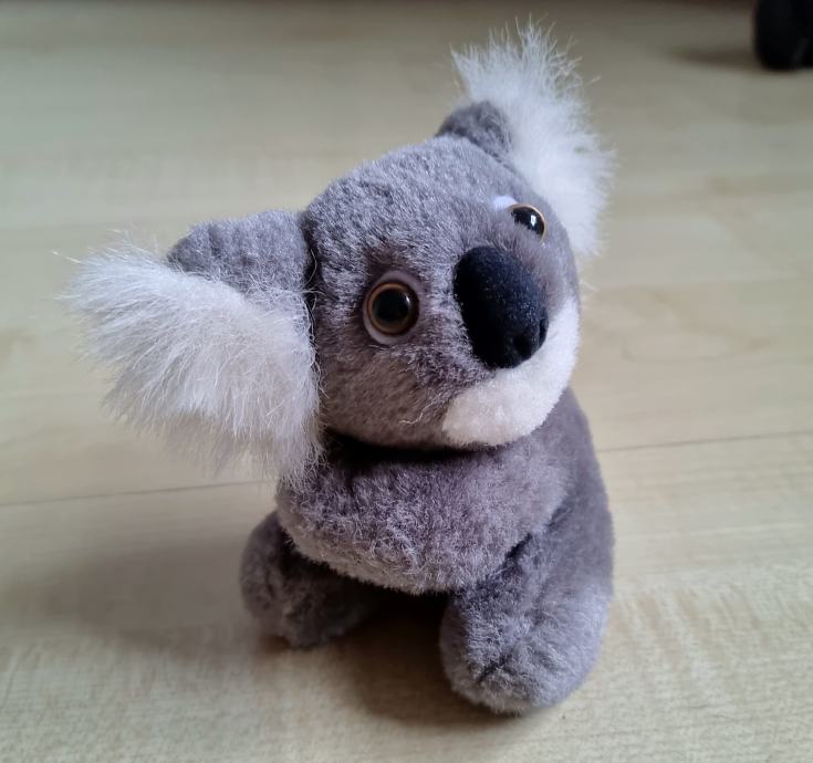 Koala plišasta igrača pliško novo realistična