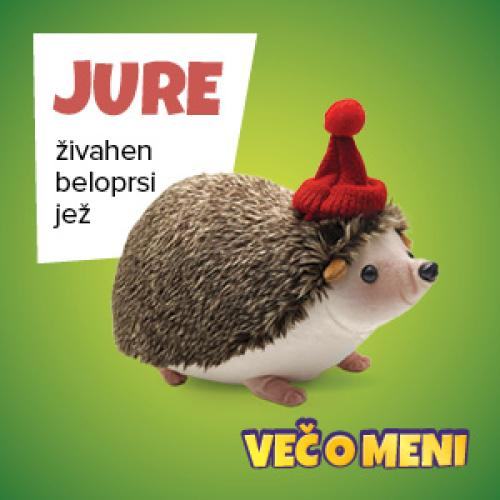 KUPIM ŽIVALICE - JEŽ JURE