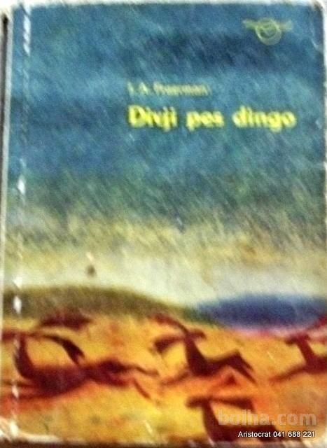 DIVJI PES DINGO - FRAERMAN