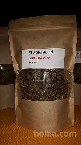 SLADKI PELIN (Artemisia annua)