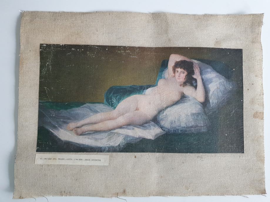 Slika Maja des nuda,Goya