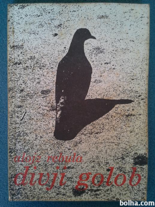 Divji golob - Alojz Rebula