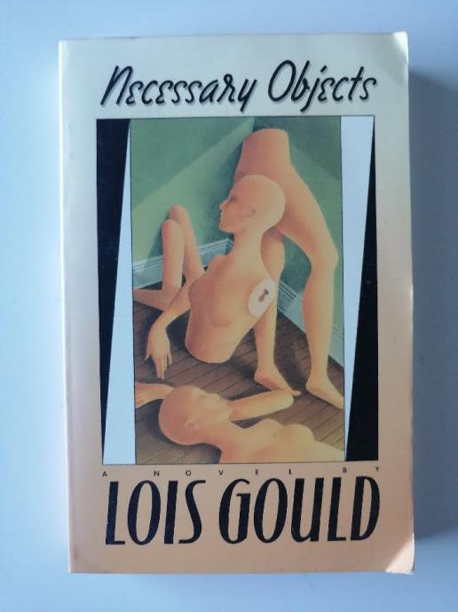 LOIS GOULD, NECESSARY OBJECTS