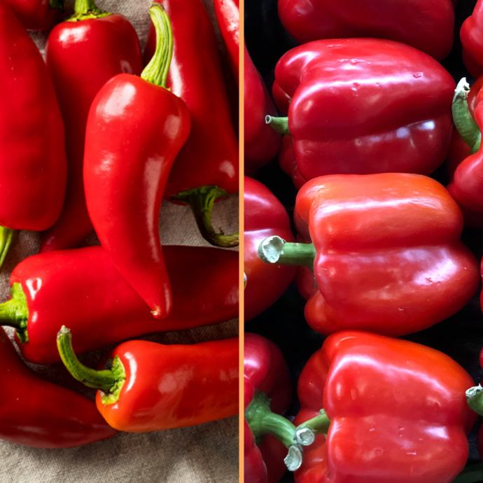 Combo BIO Semena Rdeča Paprika (2 vrsti) + DARILO
