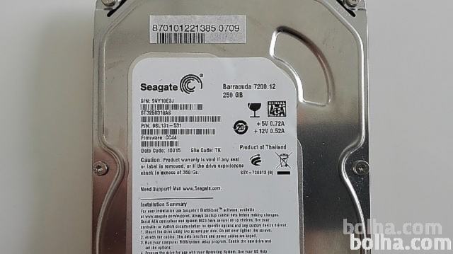 Trdi disk Seagate 250 GB