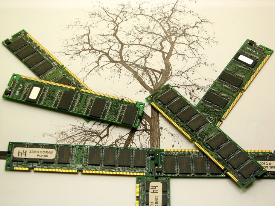SDRAM DIMM PC100 32 MB