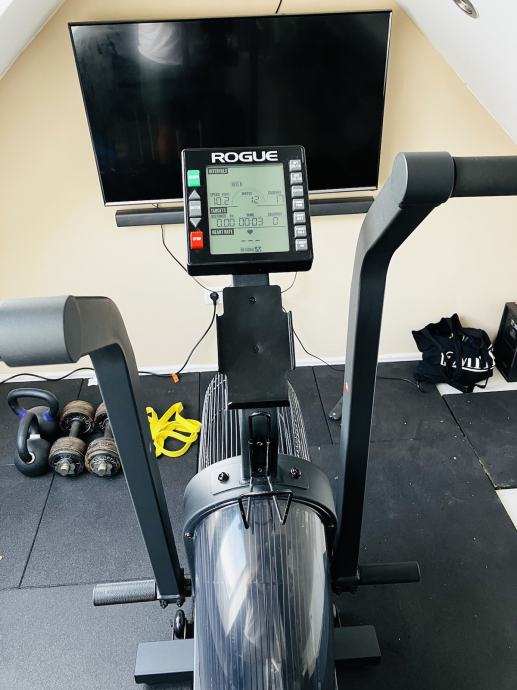 ROGUE ECHO BIKE