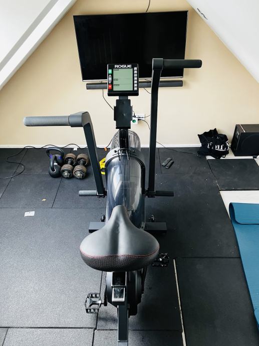 rogue echo bike black friday