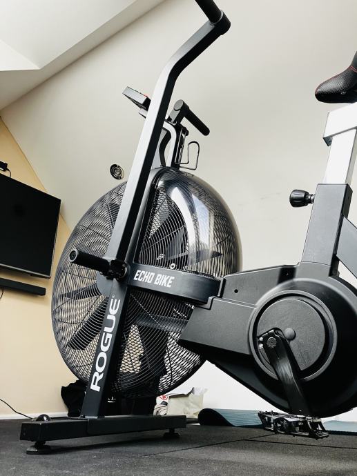 rogue echo bike black friday