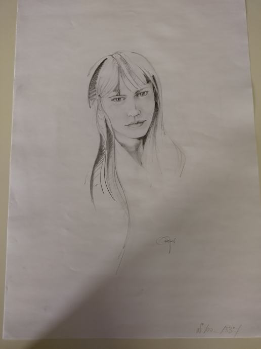 Roy Anderson Portret 2 risba svincnik na papir