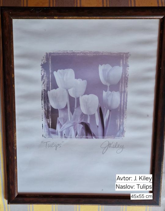 Slika J.Killey: Tulips