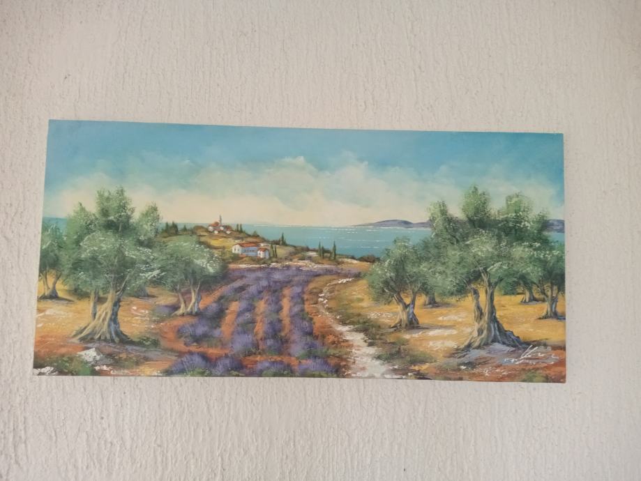 Slika Pokrajina - oljke in sivka