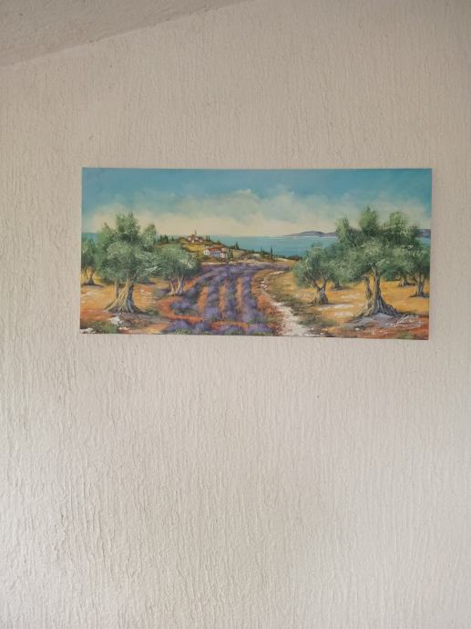 Slika Pokrajina - oljke in sivka