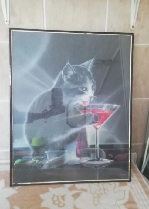 Slika mačka in koktajl