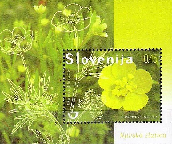 Slovenija 711 blok 42 rastline rože flora njivska zlatica než ** (max)
