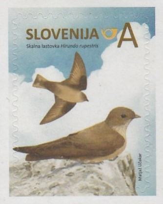 SLOVENIJA - (MI.1058)  SKALNA LASTOVKA
