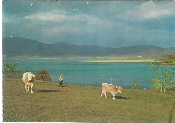 21. Razglednica Cerkniško jezero 1950