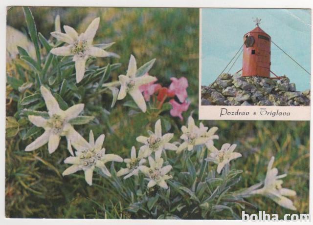 TRIGLAV 1969 - Aljažev stolp z zvezdo & planike