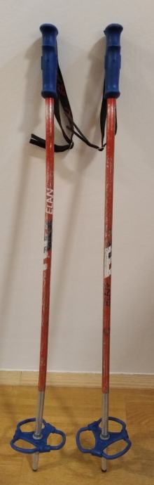 Smučarske palice 70 cm