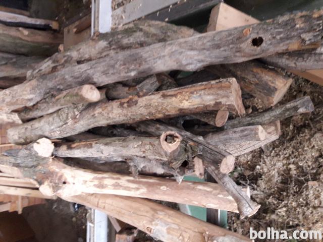 Les akacije-robide, suhe veje 20 let, 1,50€ dcm 3