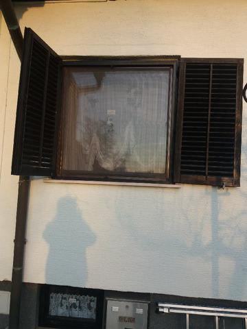 Leseno okno s komarnikom in polkni