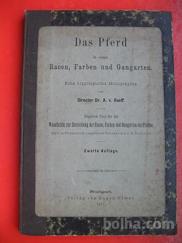 Director Dr.A.v.Rueff:Das Pferd (KONJ)