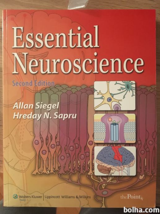 Essential Neuroscience 2ND EDITION Paperback