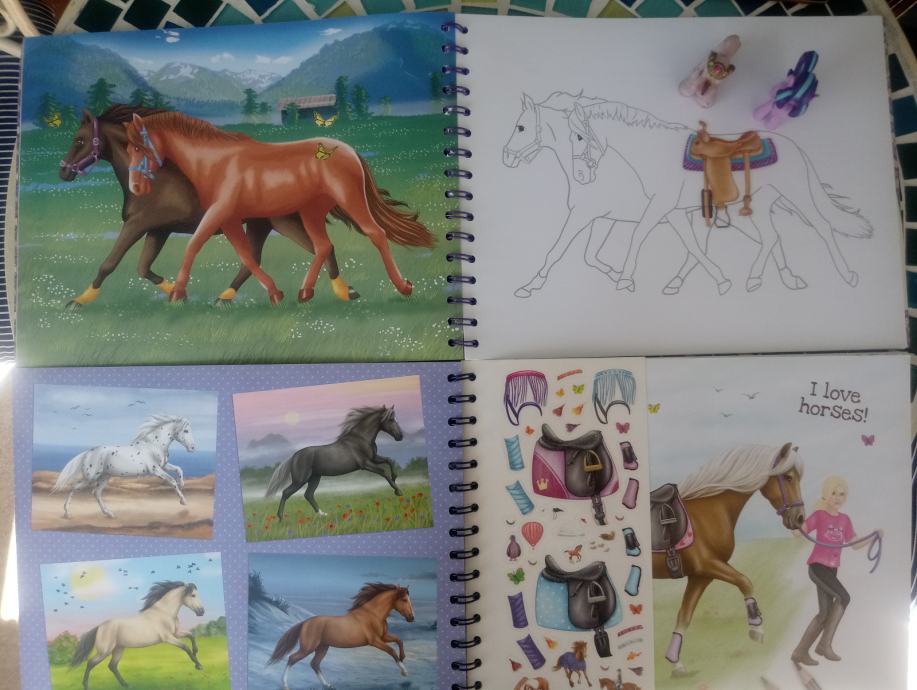 Poučna barvanka s samolepilnimi slikami - konji