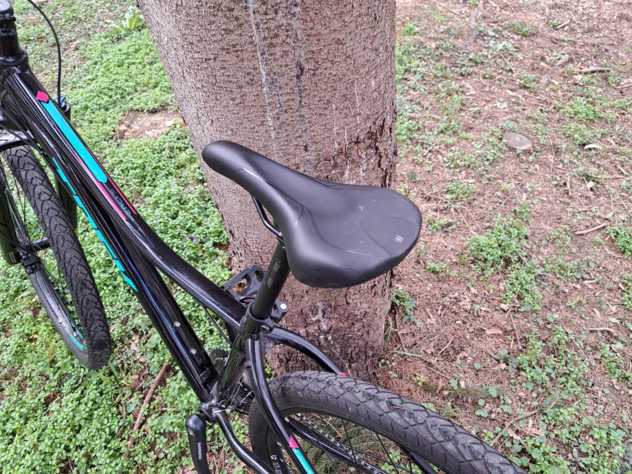 trek cali s 2018