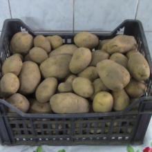 Krompir (bel) 10 kg, Vidivita