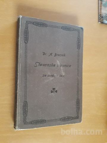 Slovenska slovnica za srednje šole / sestavil Anton Breznik (1916)