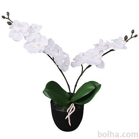 vidaXL Umetna rastlina orhideja v loncu 30 cm bela