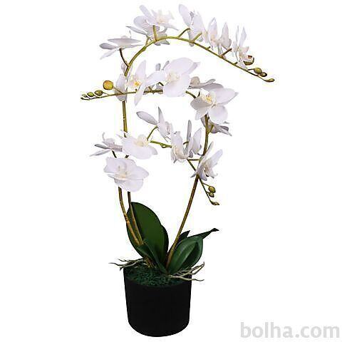 vidaXL Umetna rastlina orhideja v loncu 65 cm bela