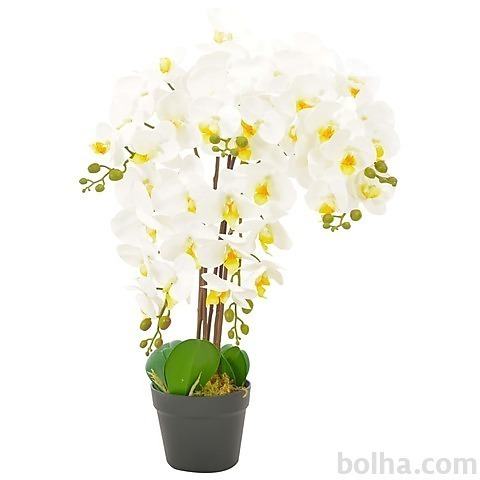 vidaXL Umetna rastlina orhideja z loncem bela 60 cm