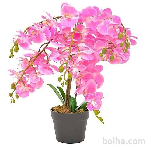 vidaXL Umetna rastlina orhideja z loncem roza 60 cm