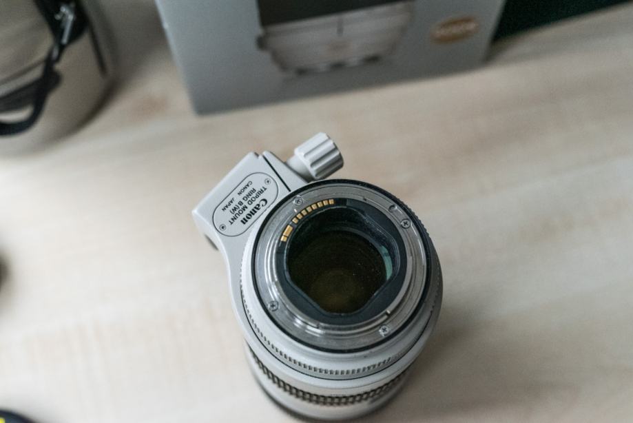 Canon EF 70-200mm f/2.8 IS II USM