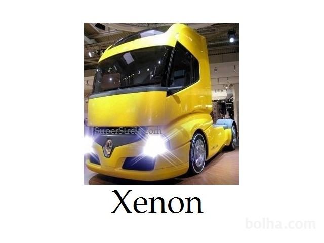 Xenon 24V