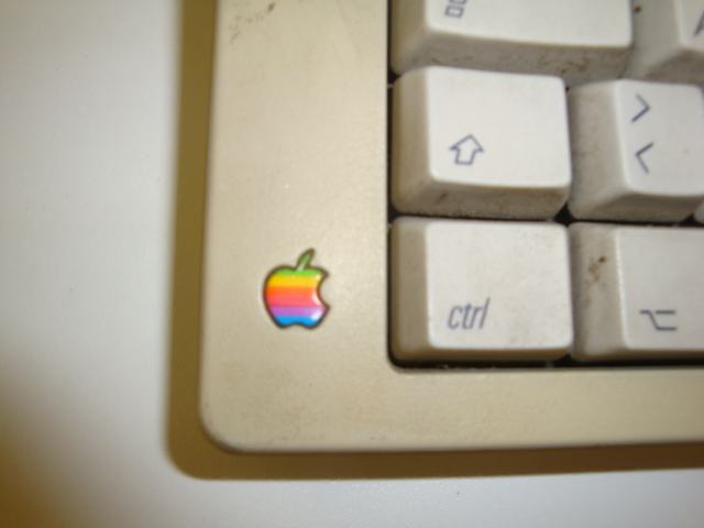 Tipkovnica Apple M0118