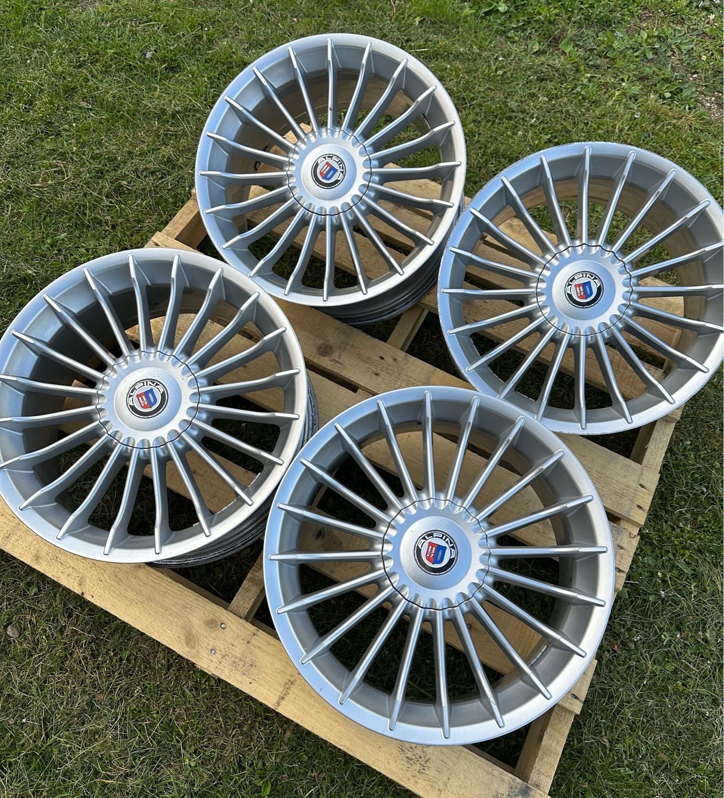 Alpina Classic 3