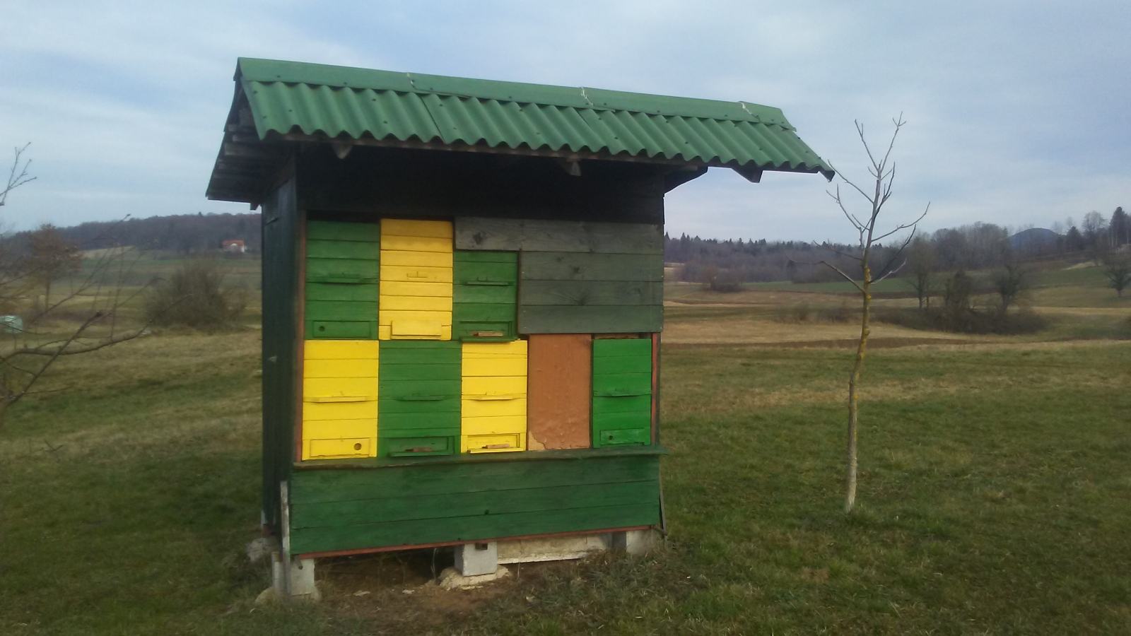 Dvor