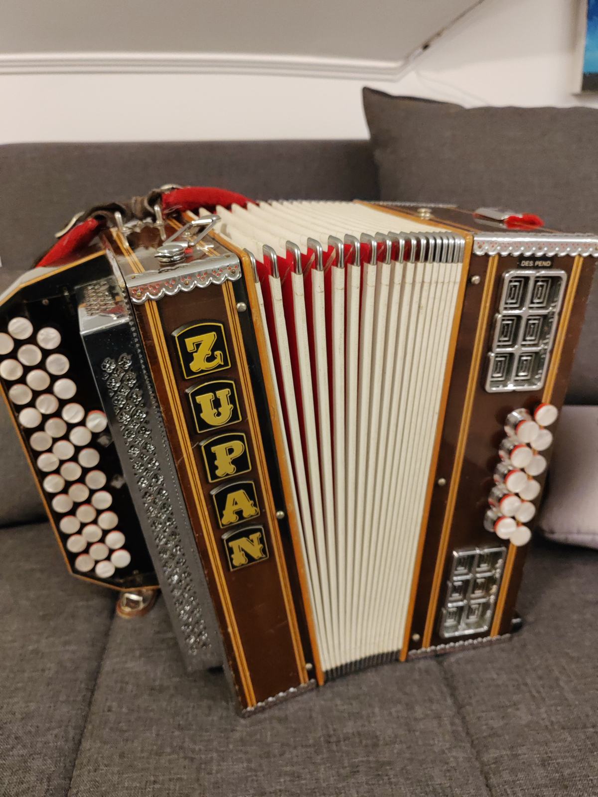 zupan-harmonika-otro-ka
