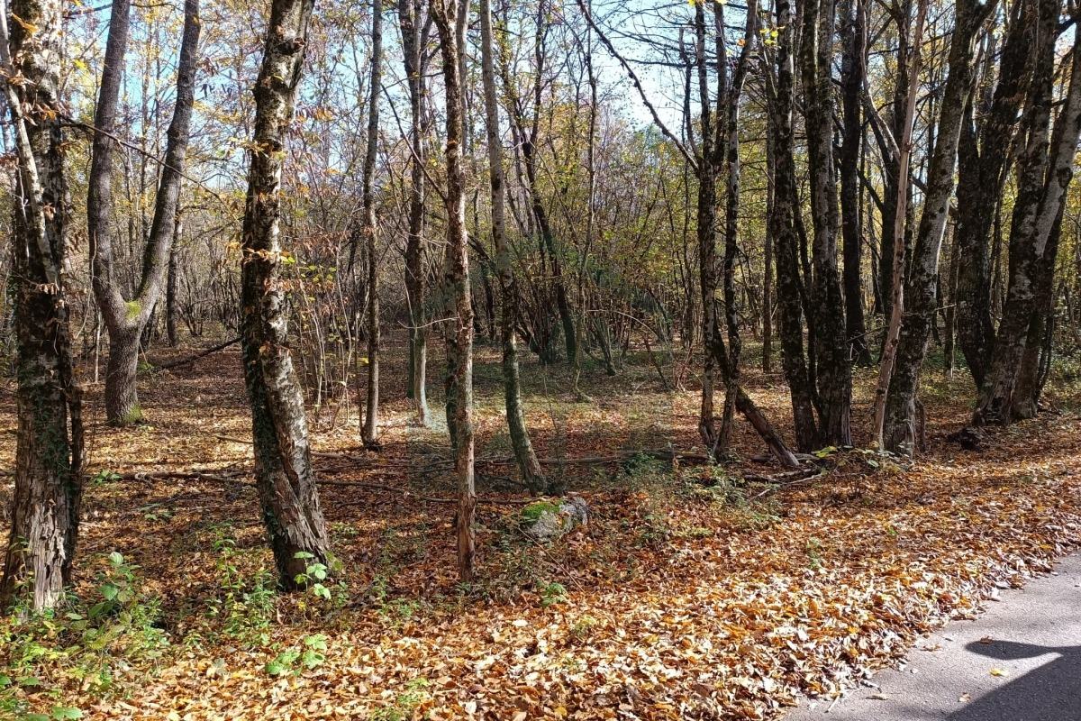 Zemljište Ličko Cerje, Lovinac, površina 25904 m²