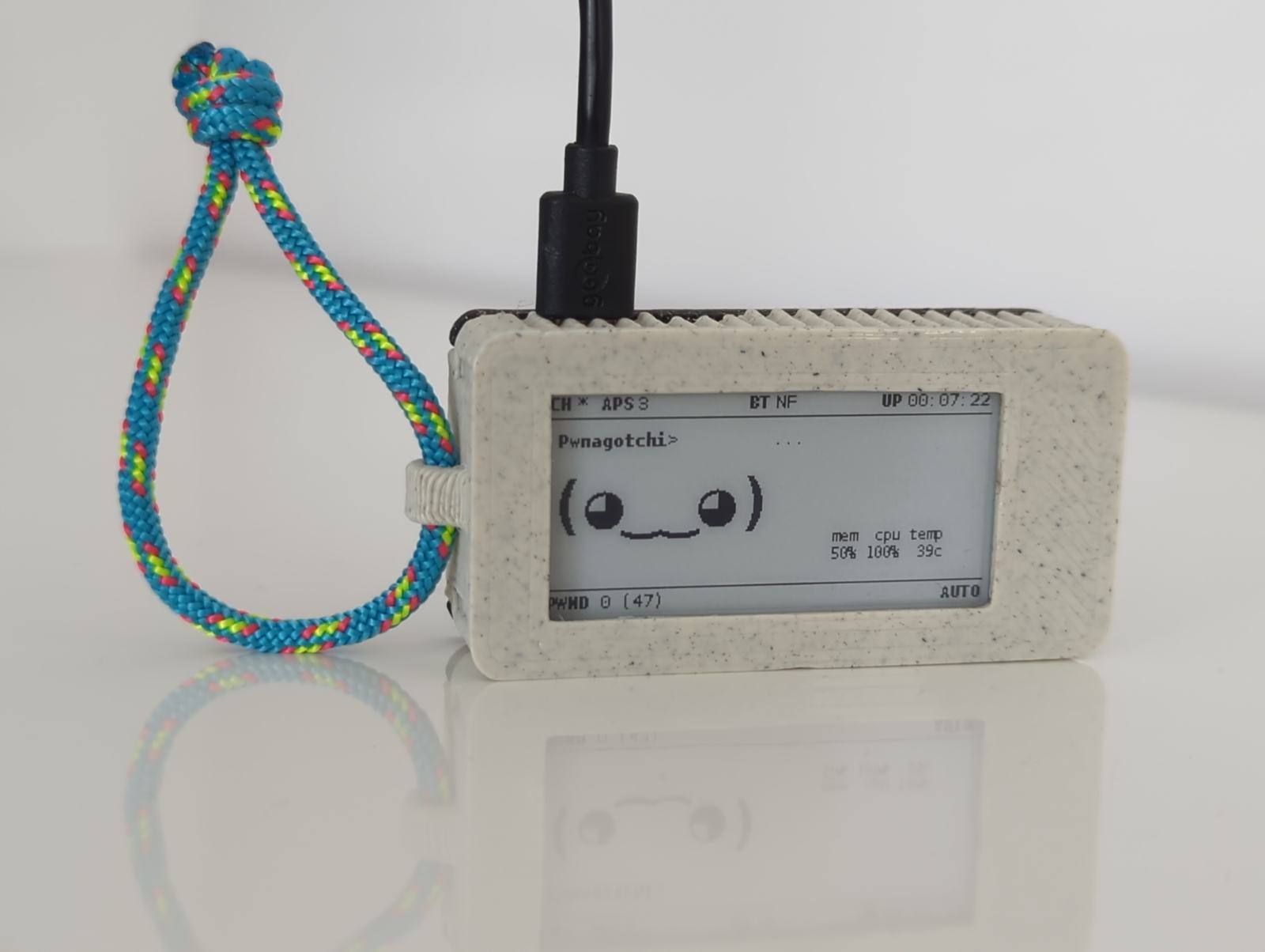 Pwnagotchi Rasperry Pi Zero W