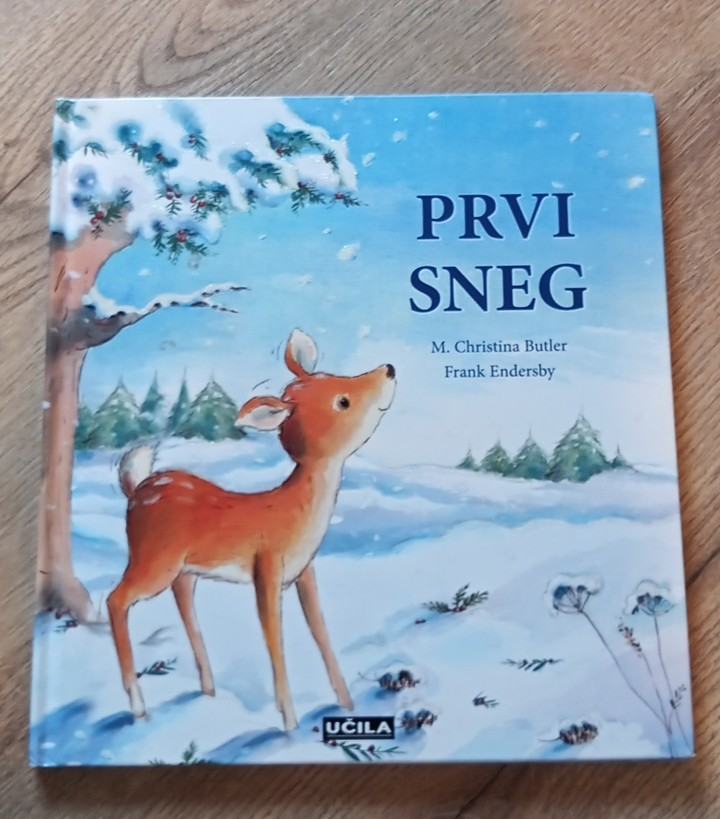 Prvi sneg