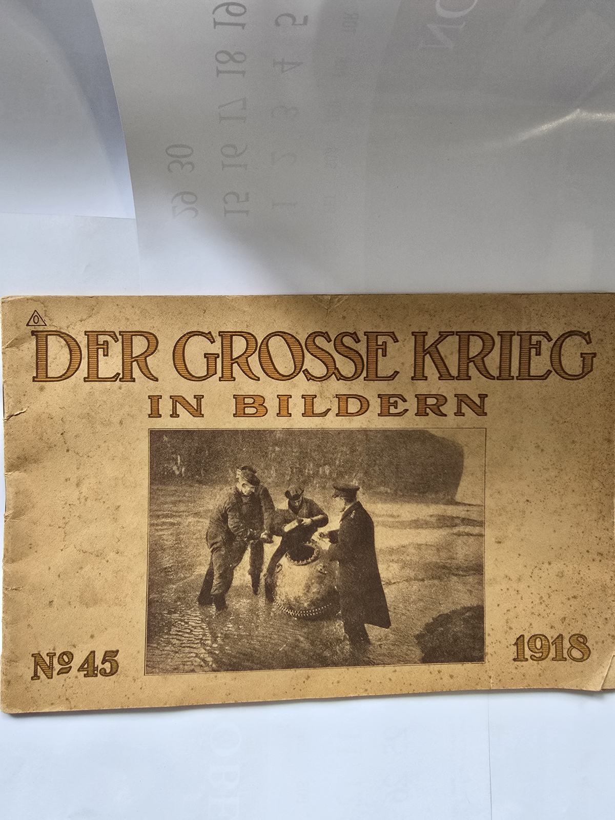 Der grosse krieg in bildern, št 45, leto 1918