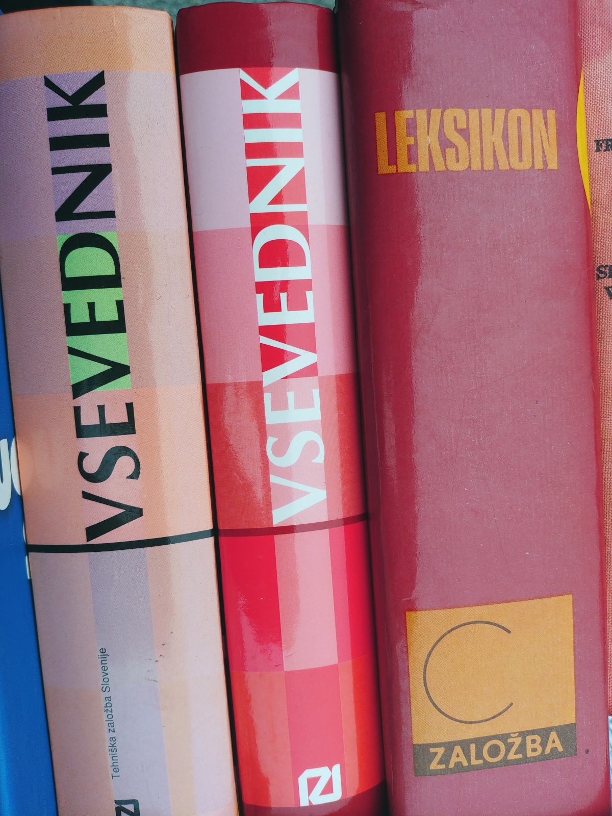 DRAGO BAJT VSEVEDNIK DRAGO BAJT VSEVEDNIK