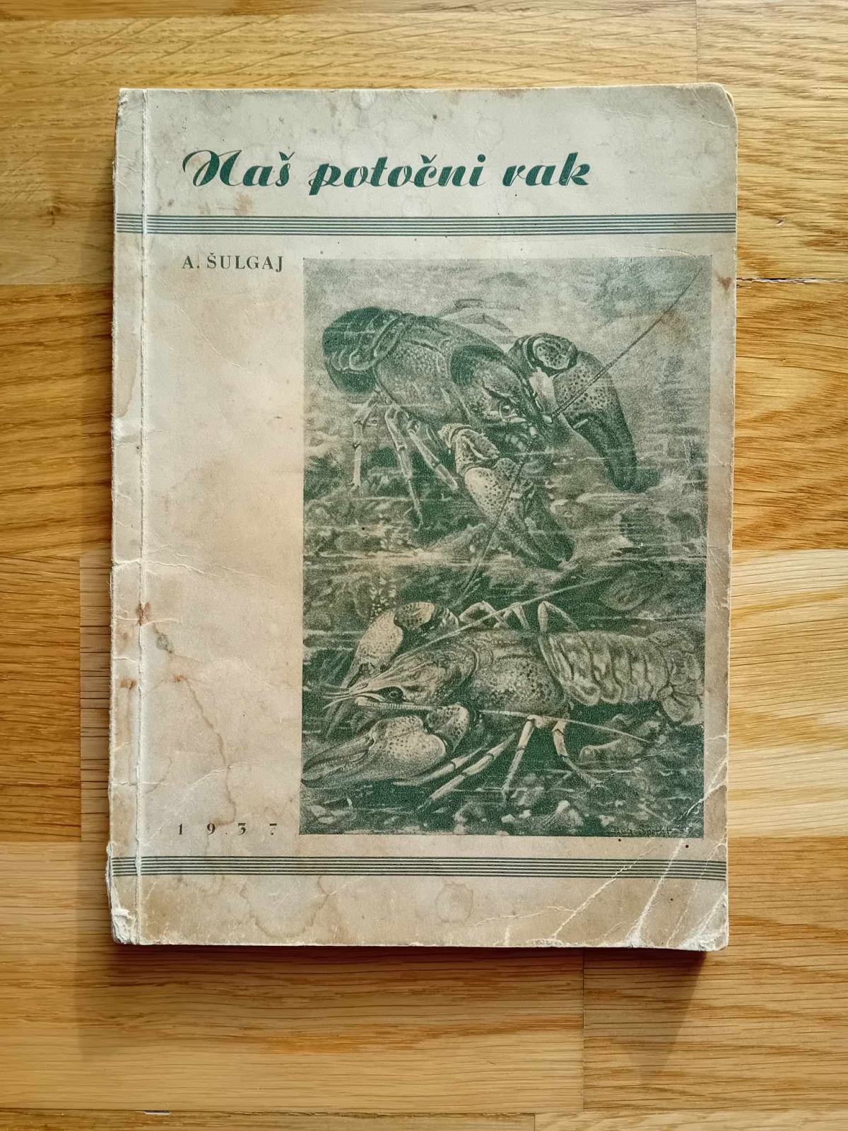 Alojzij Šulgaj: Naš potočni rak, 1937