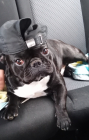 007siroliver